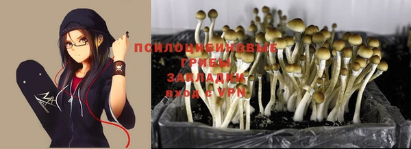 экстази Богородицк