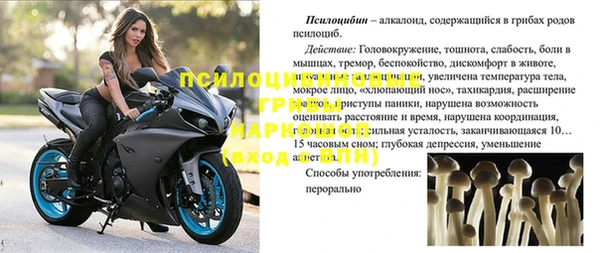 МДПВ Белокуриха