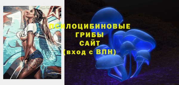 МДПВ Белокуриха