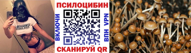 Псилоцибиновые грибы MAGIC MUSHROOMS  Валдай 